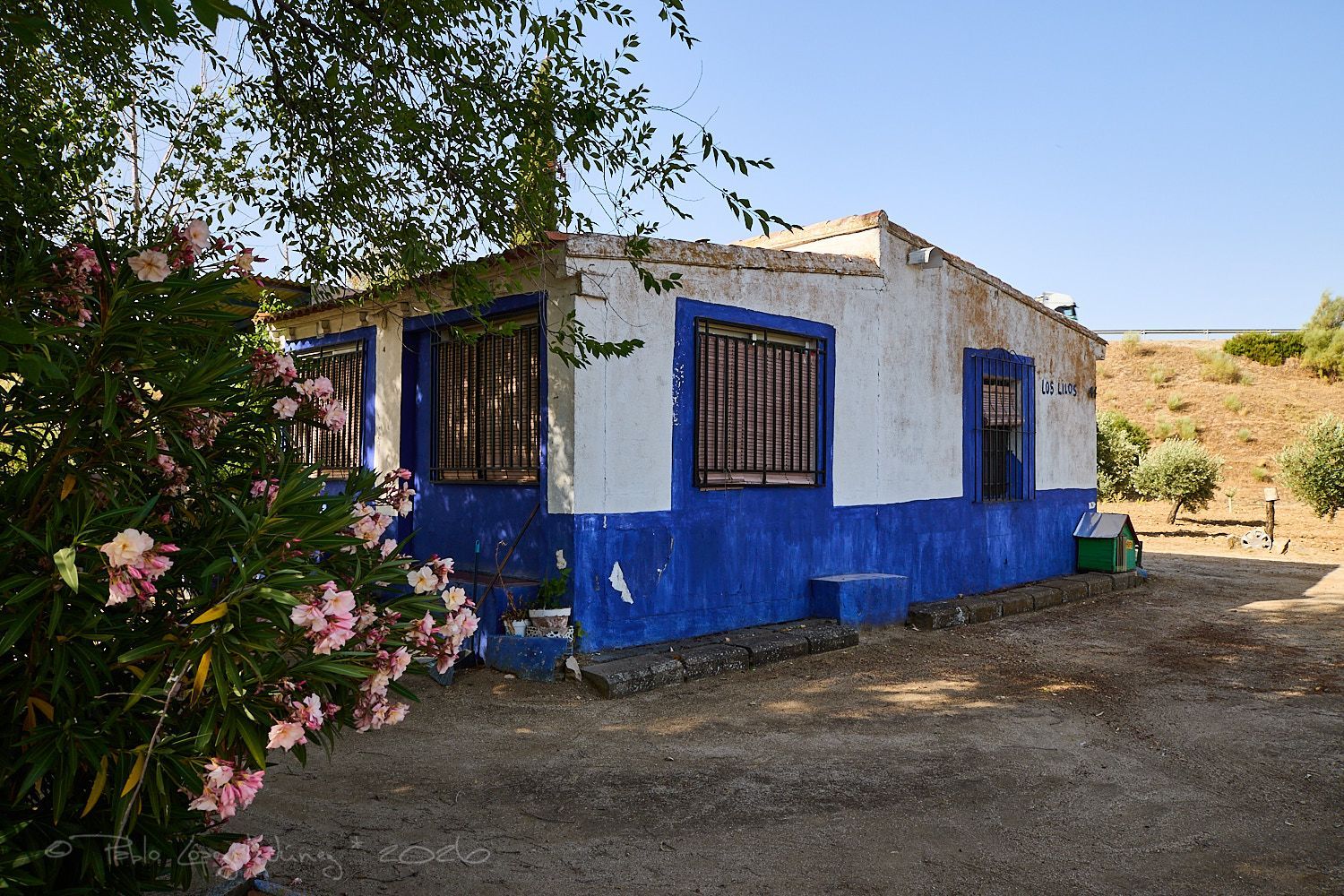 Finca rústica en Camino de la Mata s/n - Foto 16