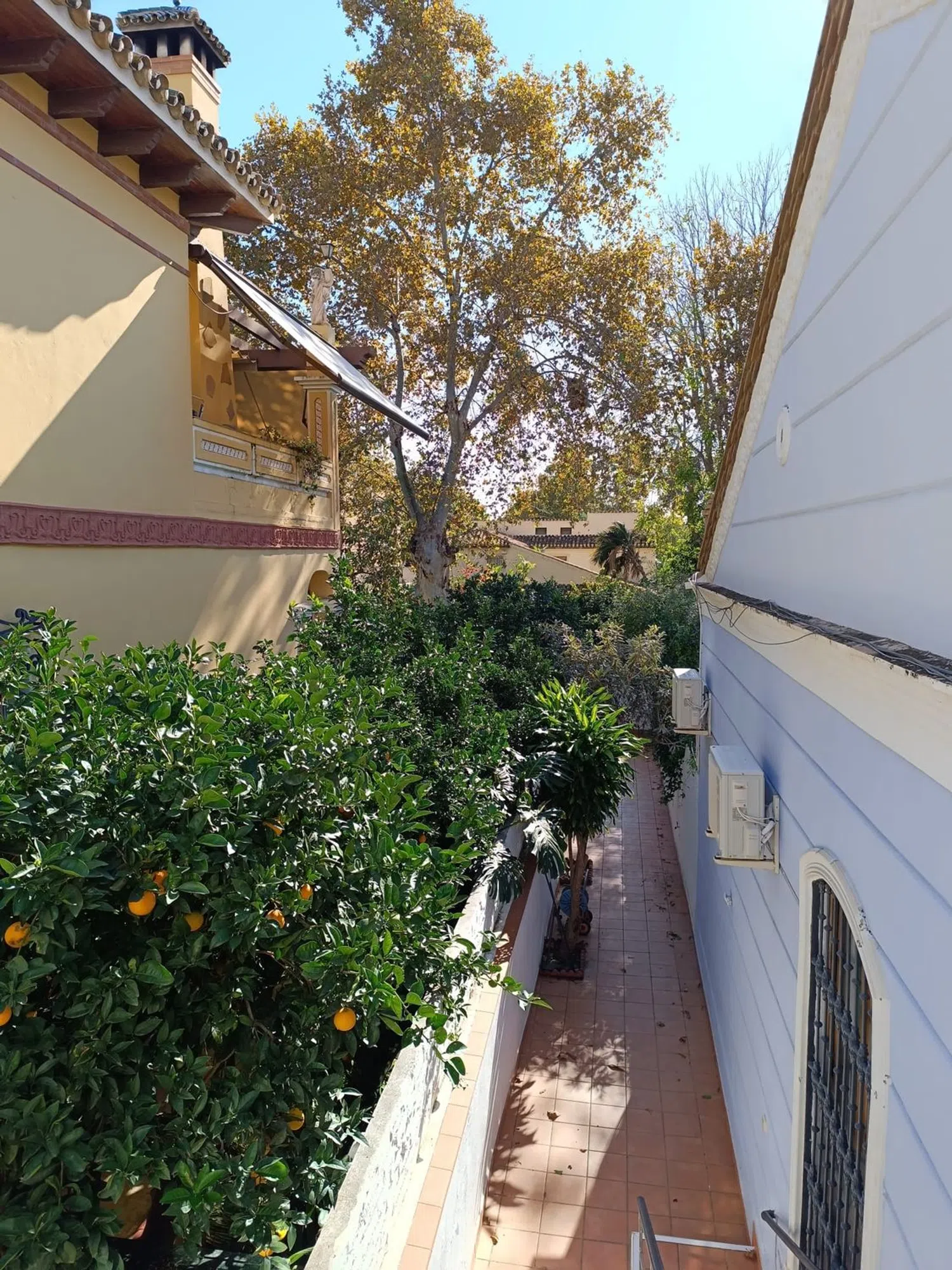 Piso en avenida Juan Sebastián Elcano, 113 Bis 1 - Foto 23