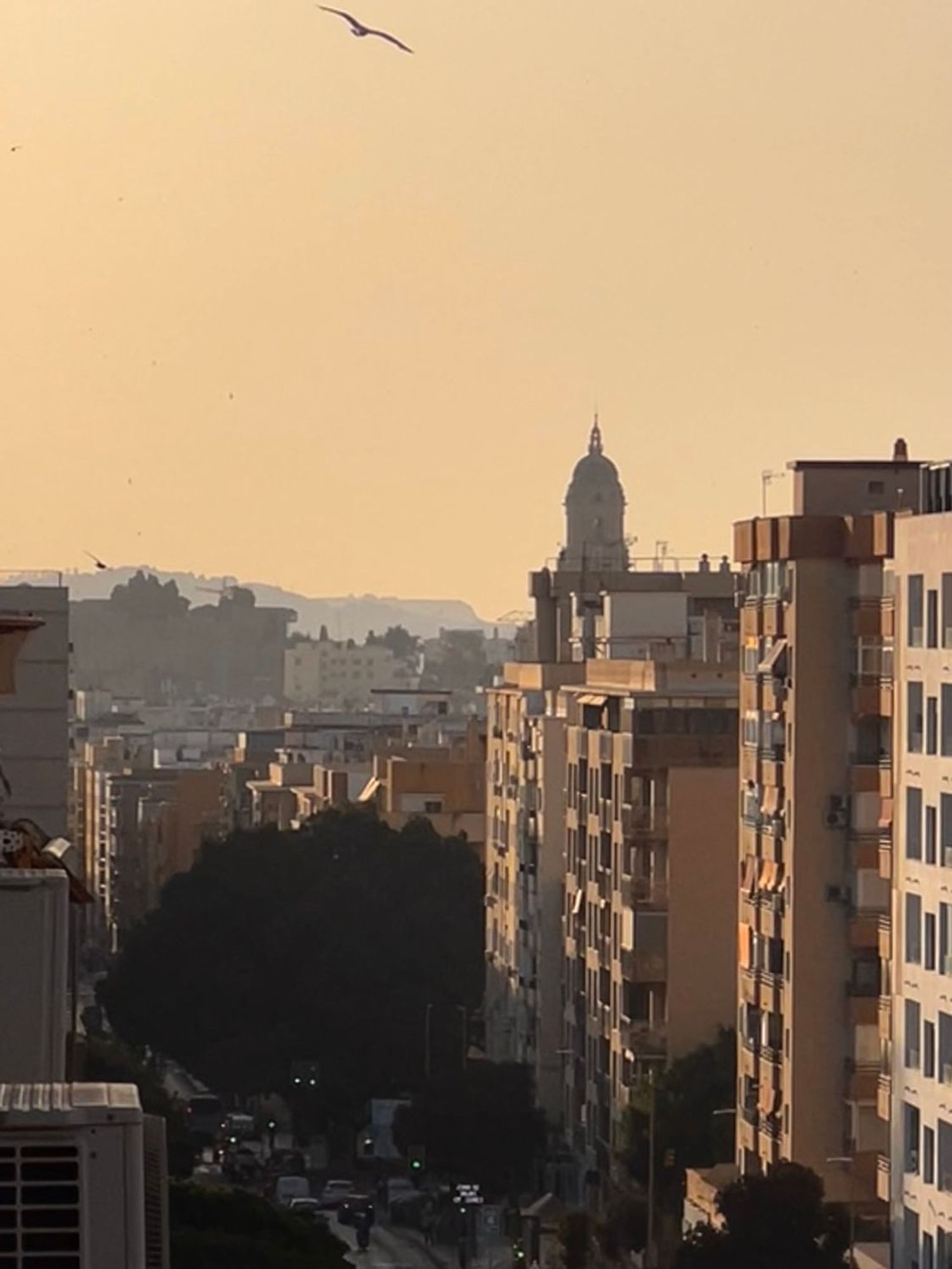 Piso en calle Martínez Maldonado, 66 - Foto 12