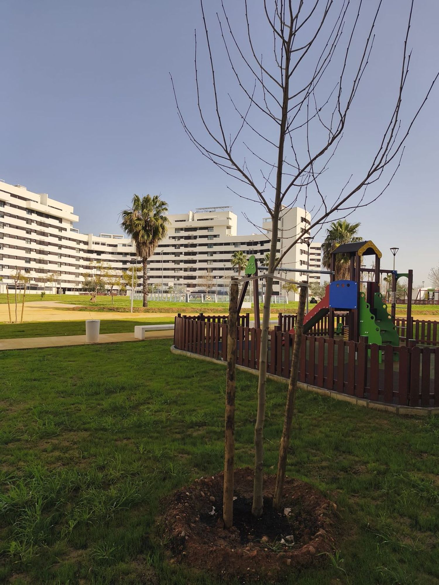 Piso en calle Francisco González García, 1 - Foto 8