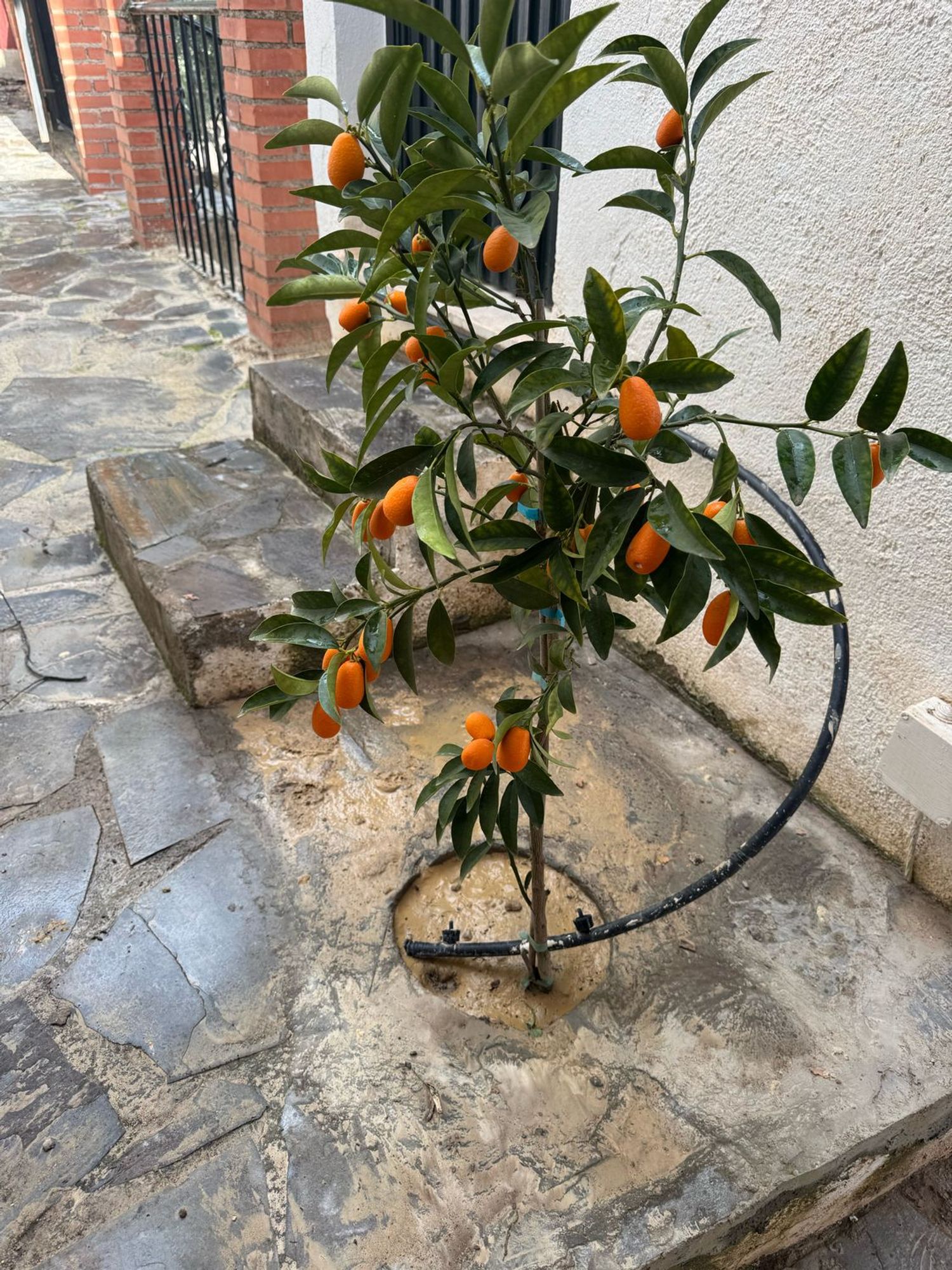 Casa rural en Presa de Beninar s/n - Foto 22