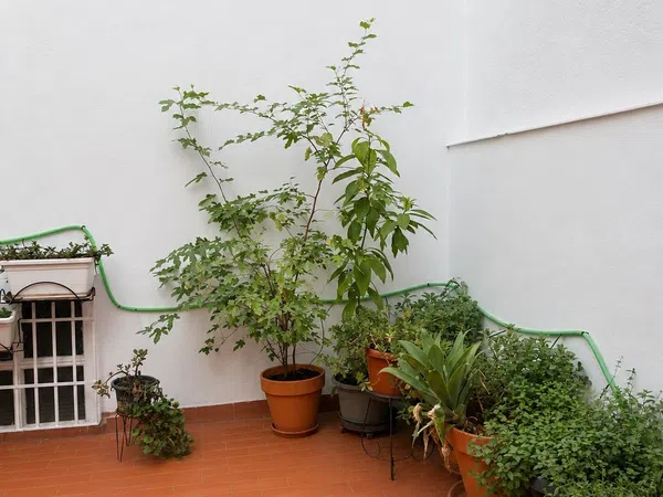 Piso en Calle Horno de Haza, 22, Jardín Botánico - Foto 10