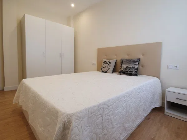 Piso en Calle María Lostal, 25, Paseo de la Constitución - Las Damas - Foto 16