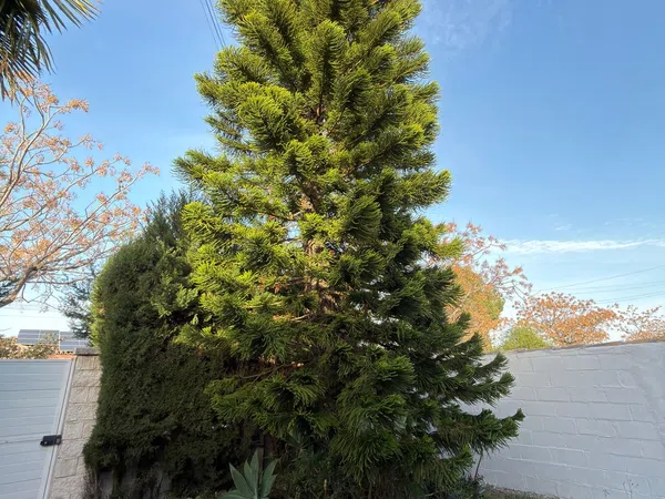 Casa independiente en calle Gran vía los Gallos, 114 - Foto 3