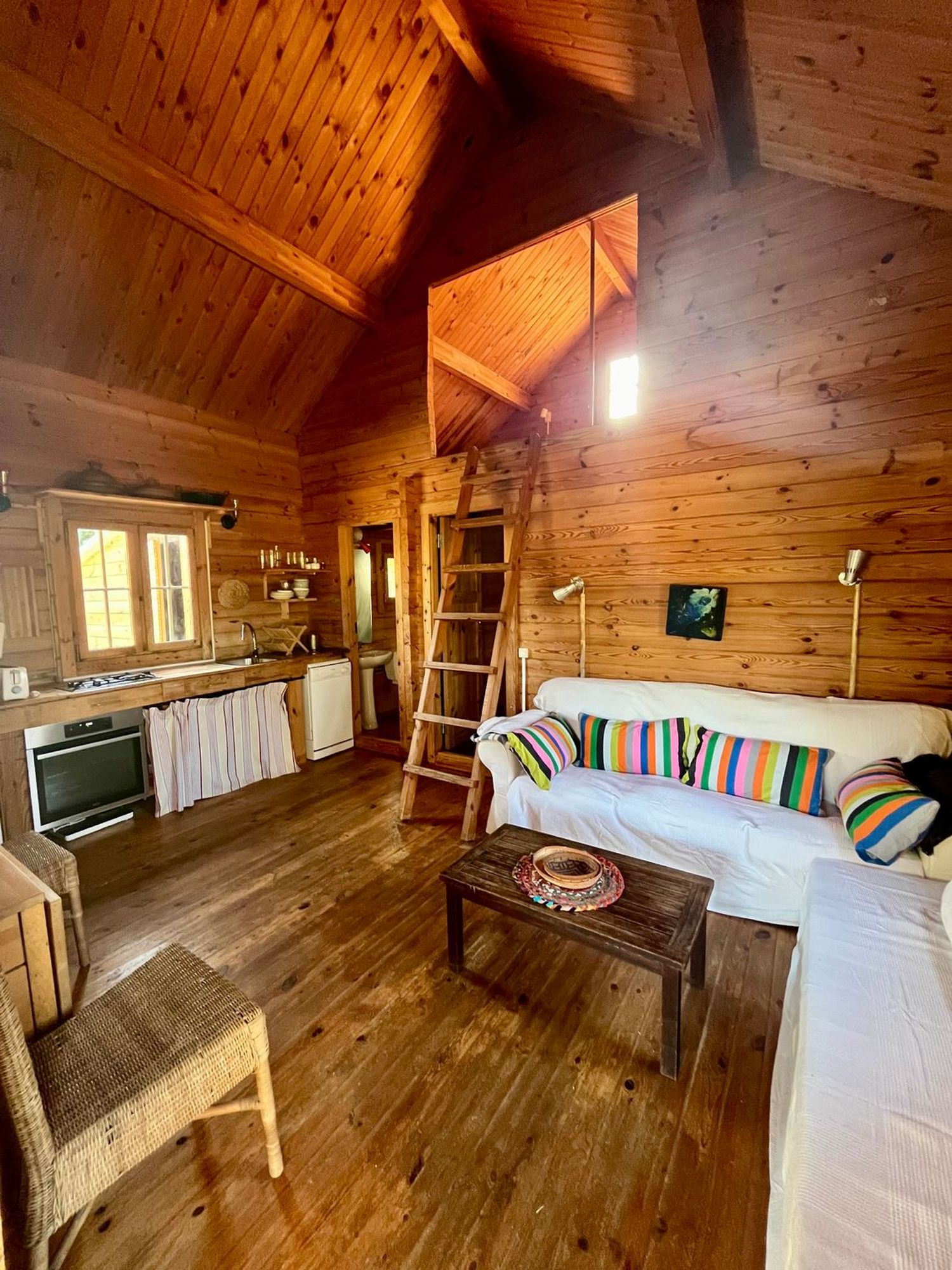 Casa rural en Camino de Teodoro, 11159 - Foto 4