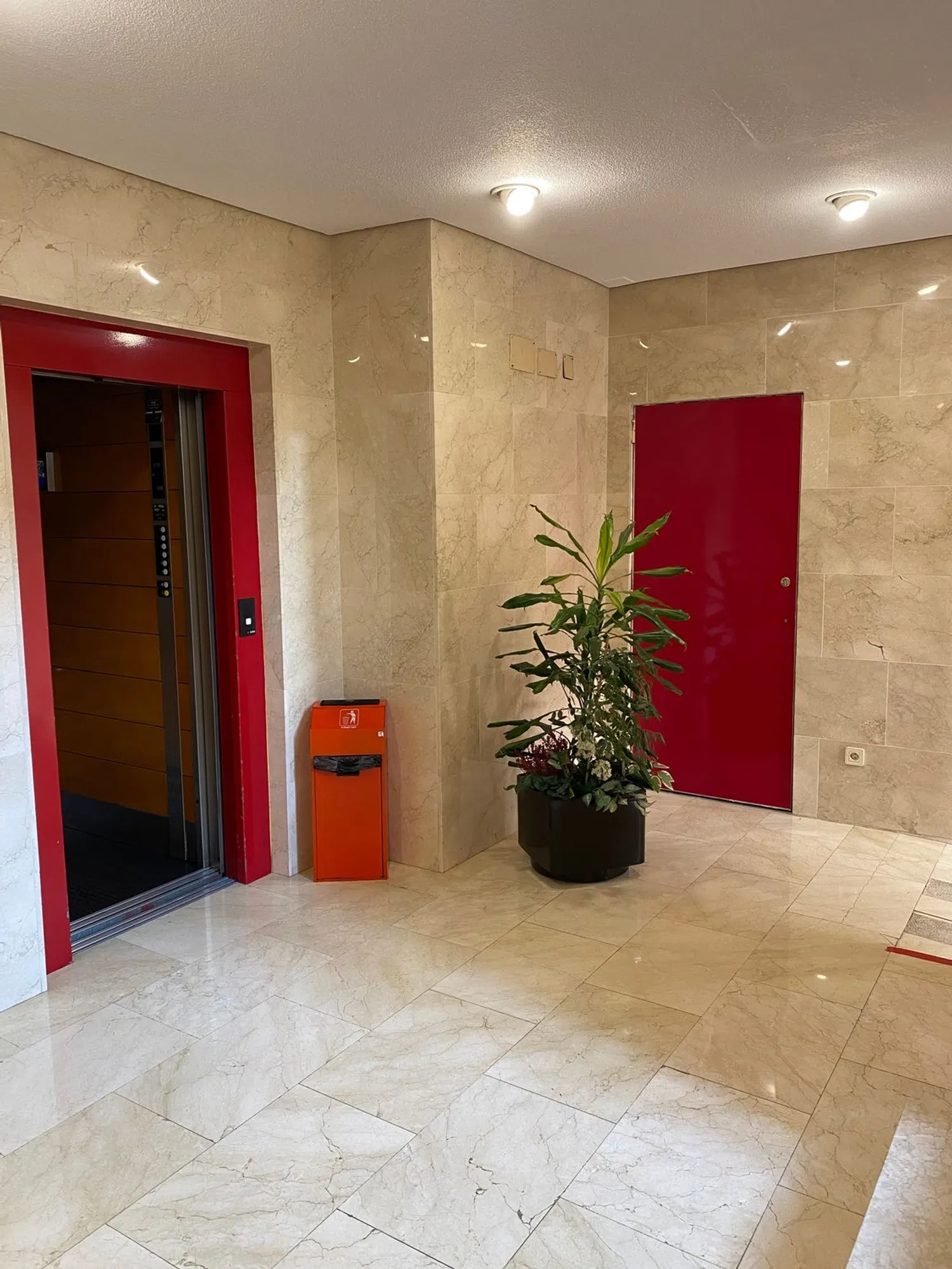 Piso en Barrio Pinar del Rey - Foto 12