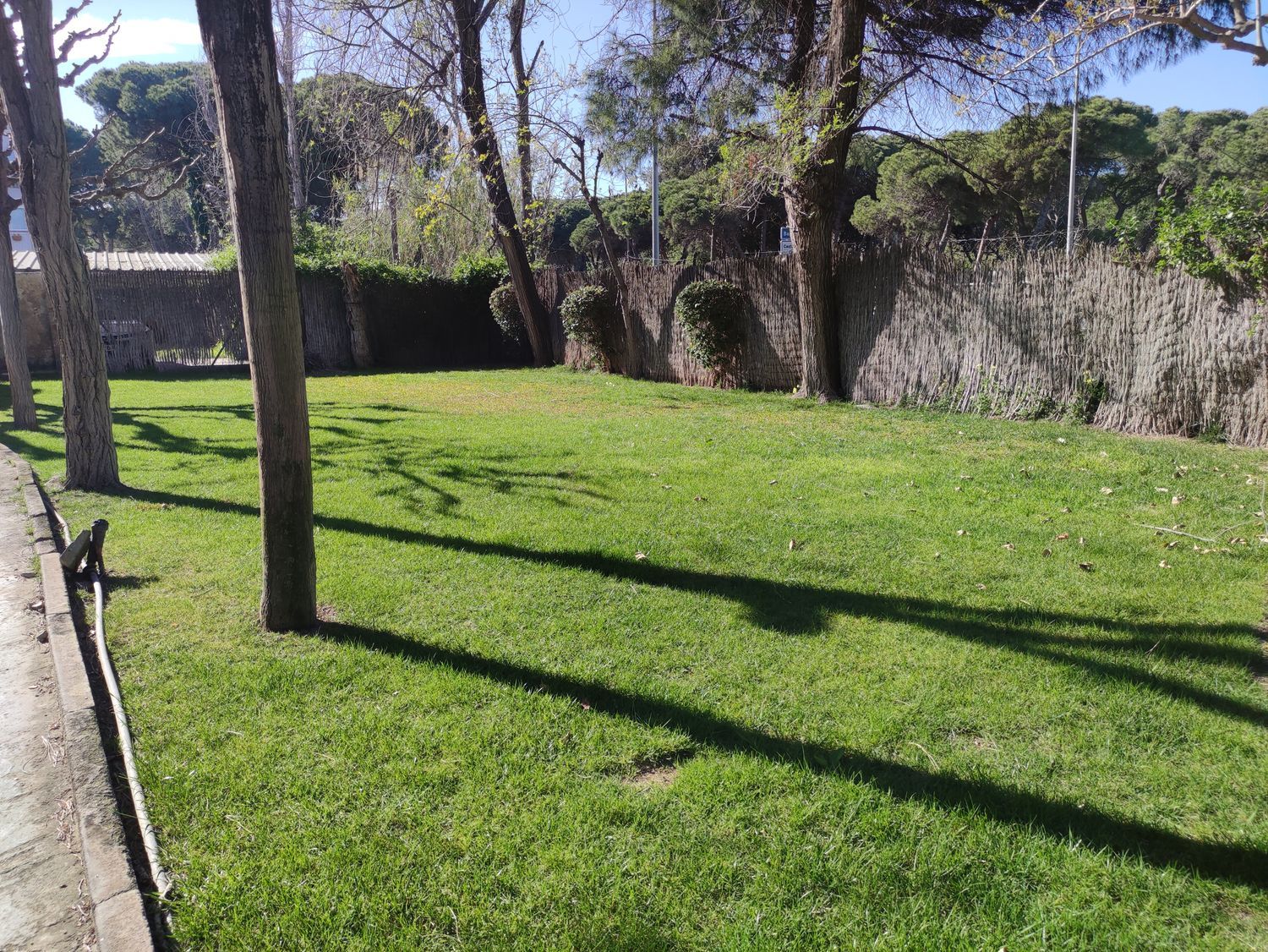 Piso en La Pineda, La Pineda - Foto 38