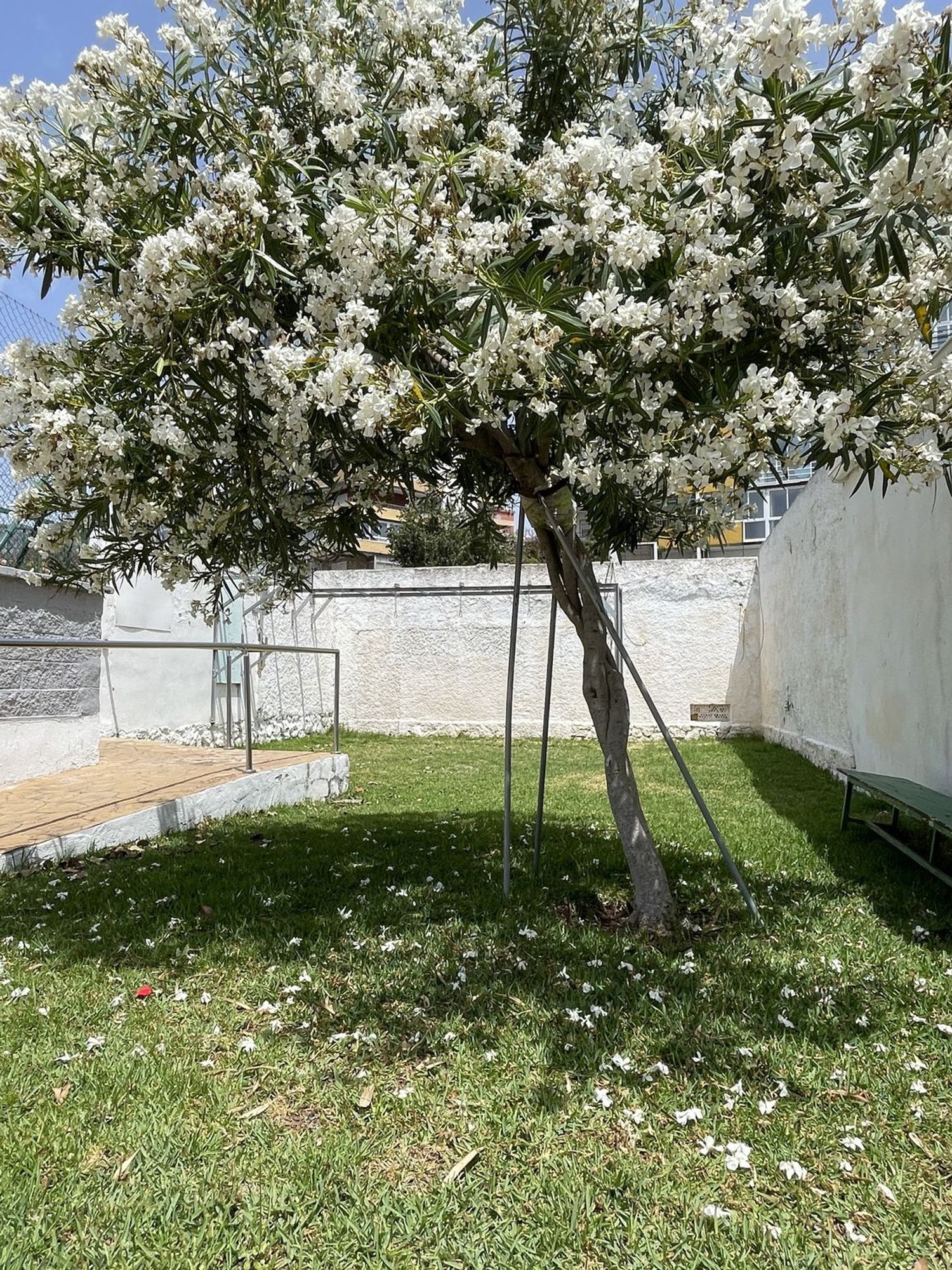 Piso en Avenida de la Telefónica, 13, Parque de la Paloma, Parque de la Paloma - Foto 23