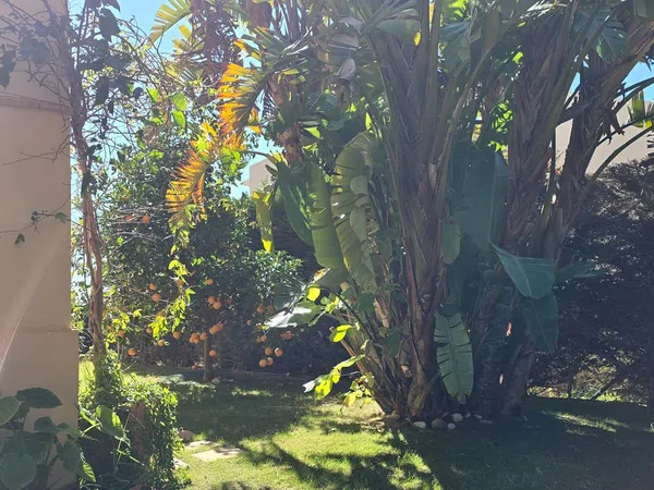 Chalet pareado en calle Oslo, 11 - Foto 11