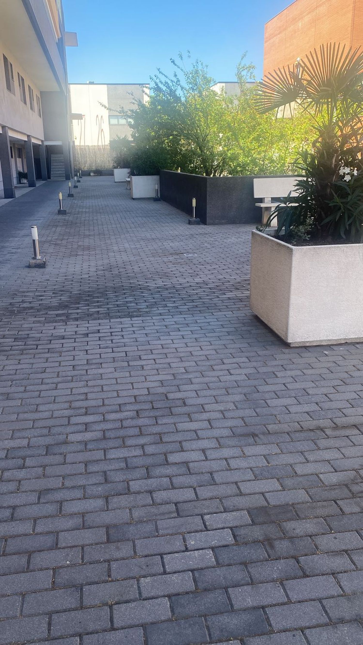 Dúplex en Avenida M-40, 5, Campodón - Ventorro del Cano - Foto 17
