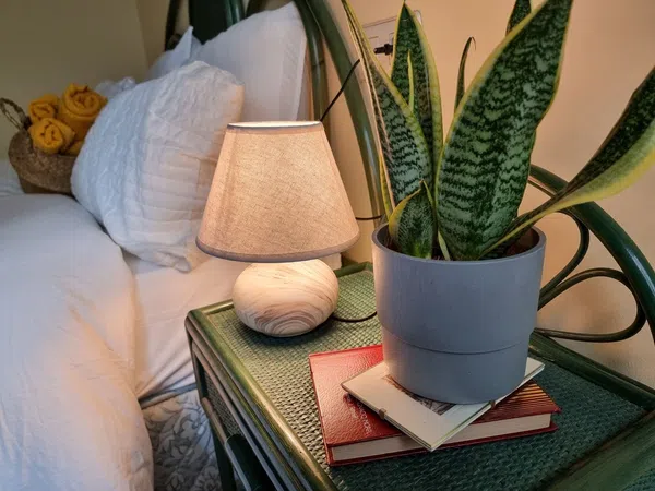 Piso en fuero, 2 - Foto 5