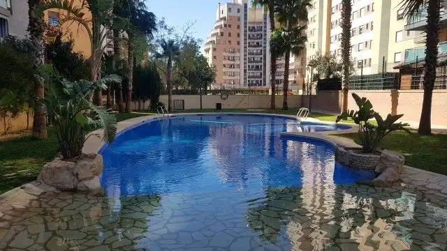 Piso en  Avinguda Escultor Miquel Navarro Navarro - Foto 30