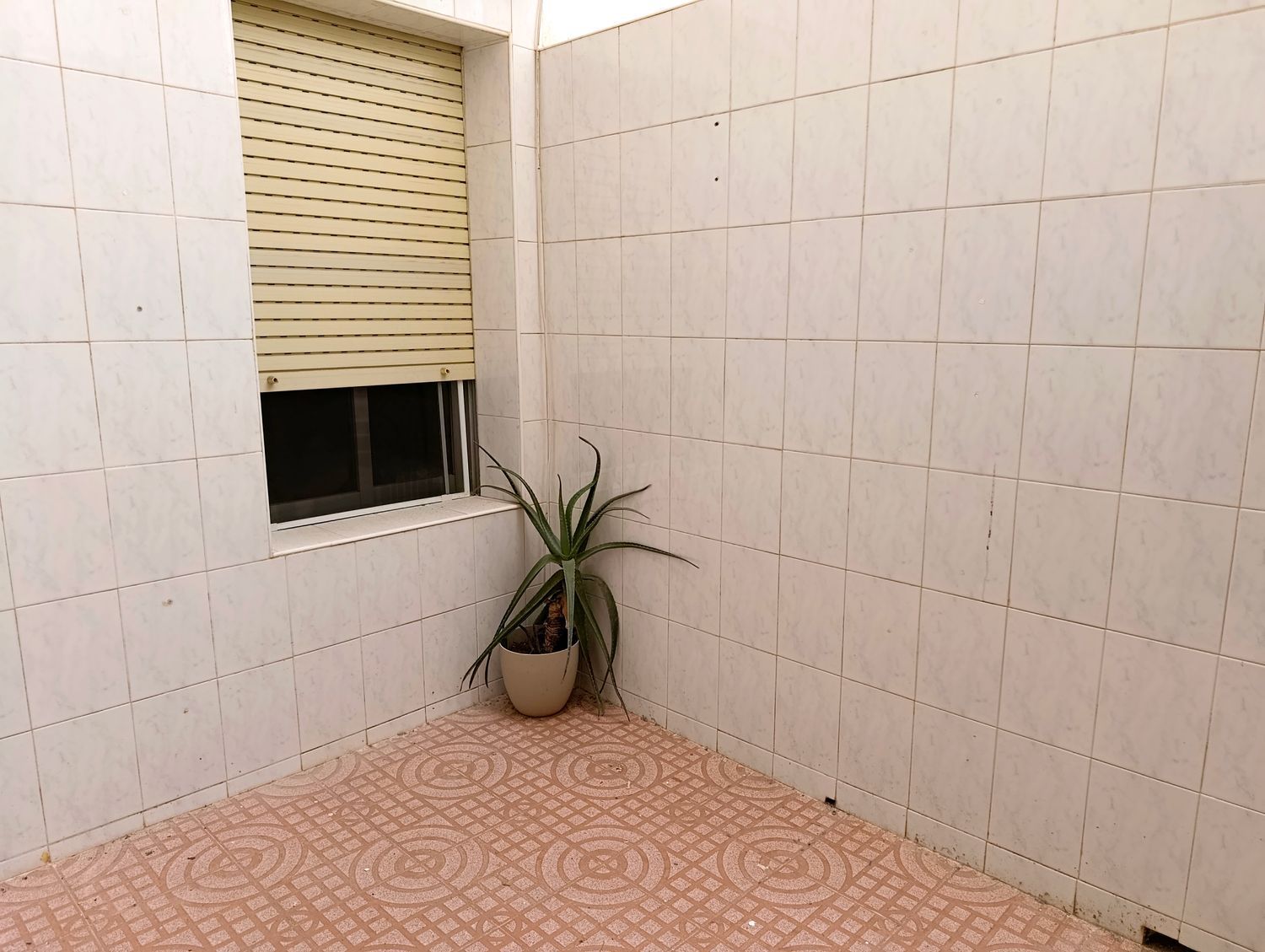 Piso en Calle de San Carlos, 121, Carolinas Bajas - Foto 34