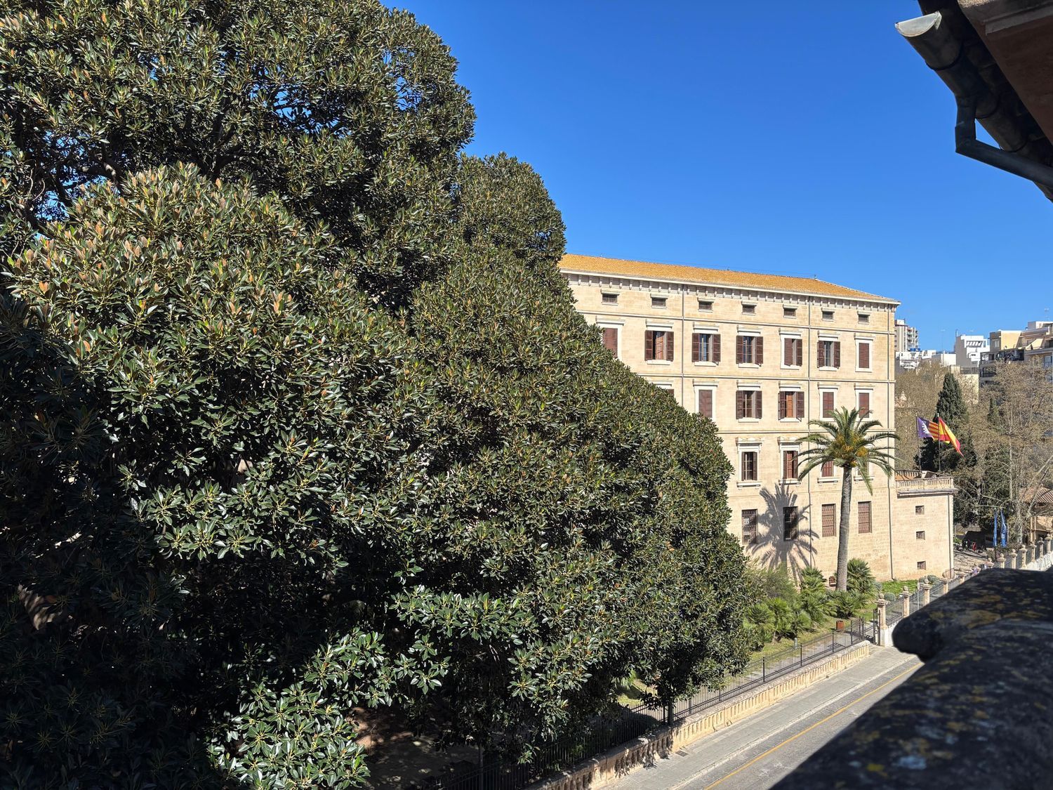 Ático en jardín botánico, 8 - Foto 1