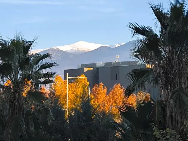 Piso en avenida de la Ilustración, 123