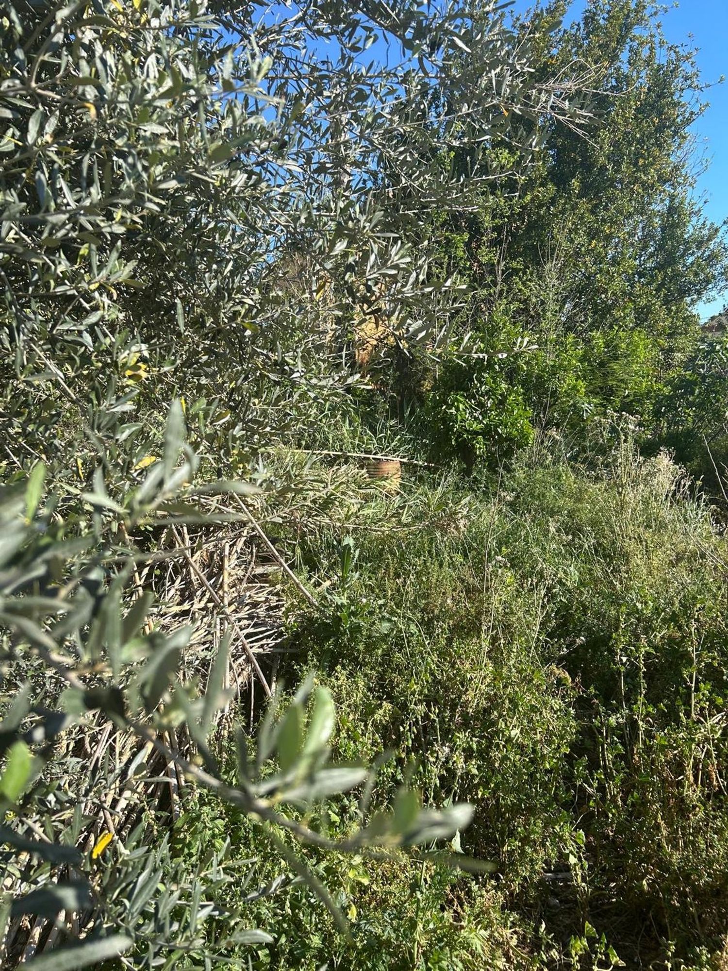 Casa de pueblo en Camino de Funes, 80 - Foto 18