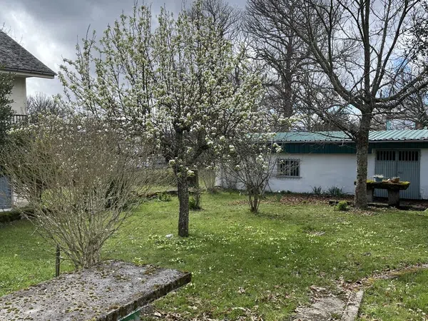 Casa o chalet independiente en San Lorenzo, 63 - Foto 7