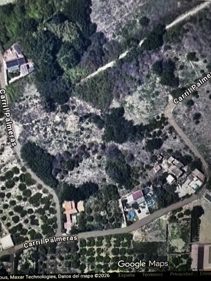 Finca rústica en  Diseminado Carril Isidoros 27 - Foto 6