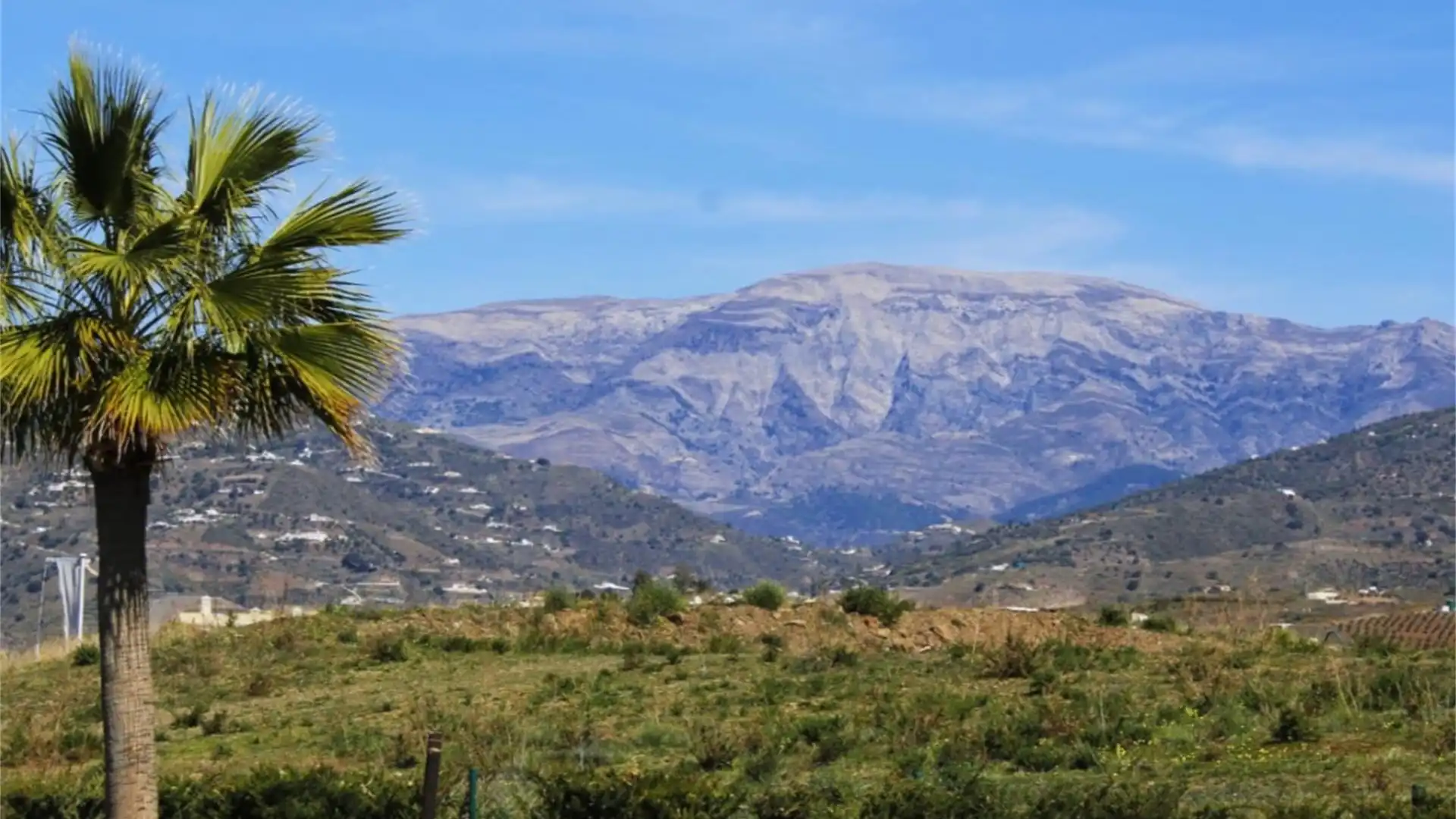 Piso en  Avenida Palmeras de Baviera a2 - Foto 19