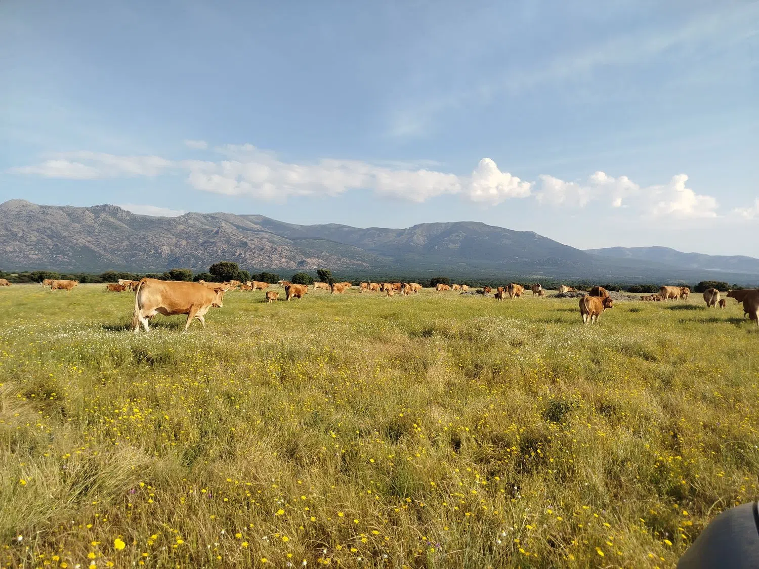 Dúplex en camino Vial, 2 - Foto 8