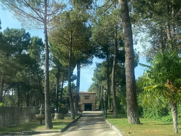 Masía en Pinar De Jabaga, 1 ,2 - Foto 2
