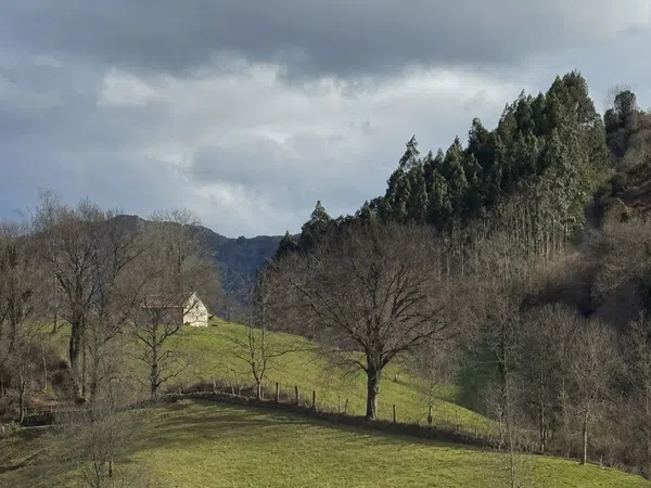 Casa rural en Pista de Riclones s/n - Foto 4