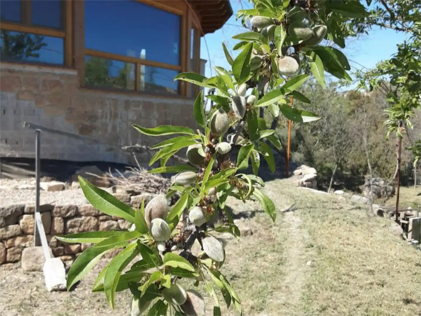 Finca rústica en calle Huerta Zaragoceta S.N - Foto 20