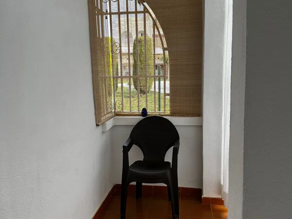 Estudio en Calle de Sant Joan, 32, Santa Eulalia del Río, Santa Eulalia del Río - Foto 13