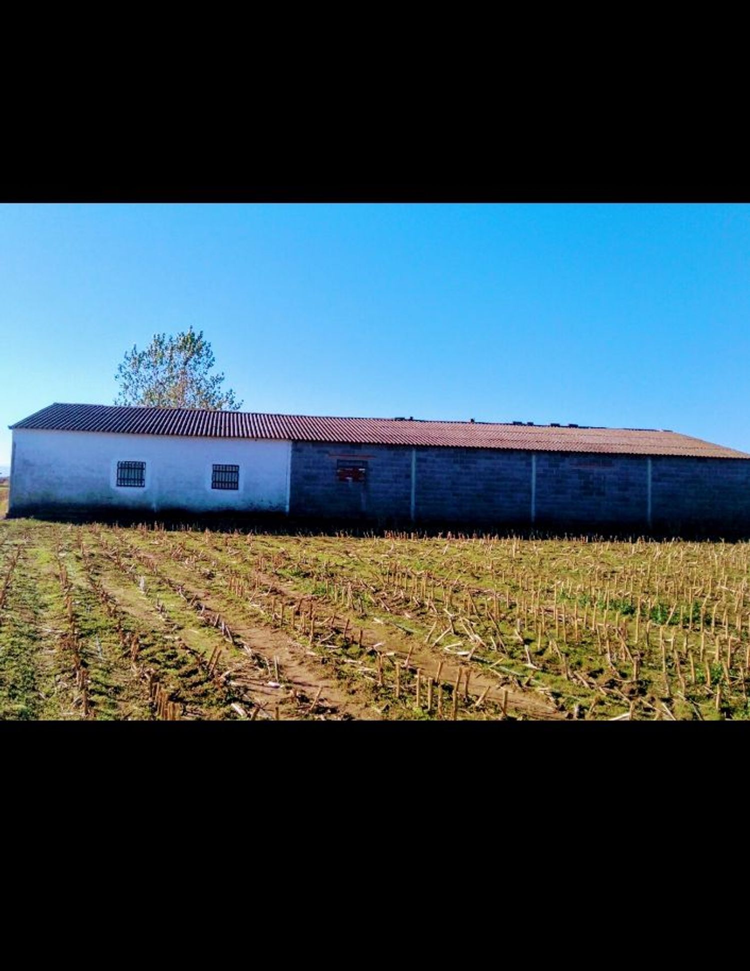 Finca rústica en Pueblecillo, 1 - Foto 21