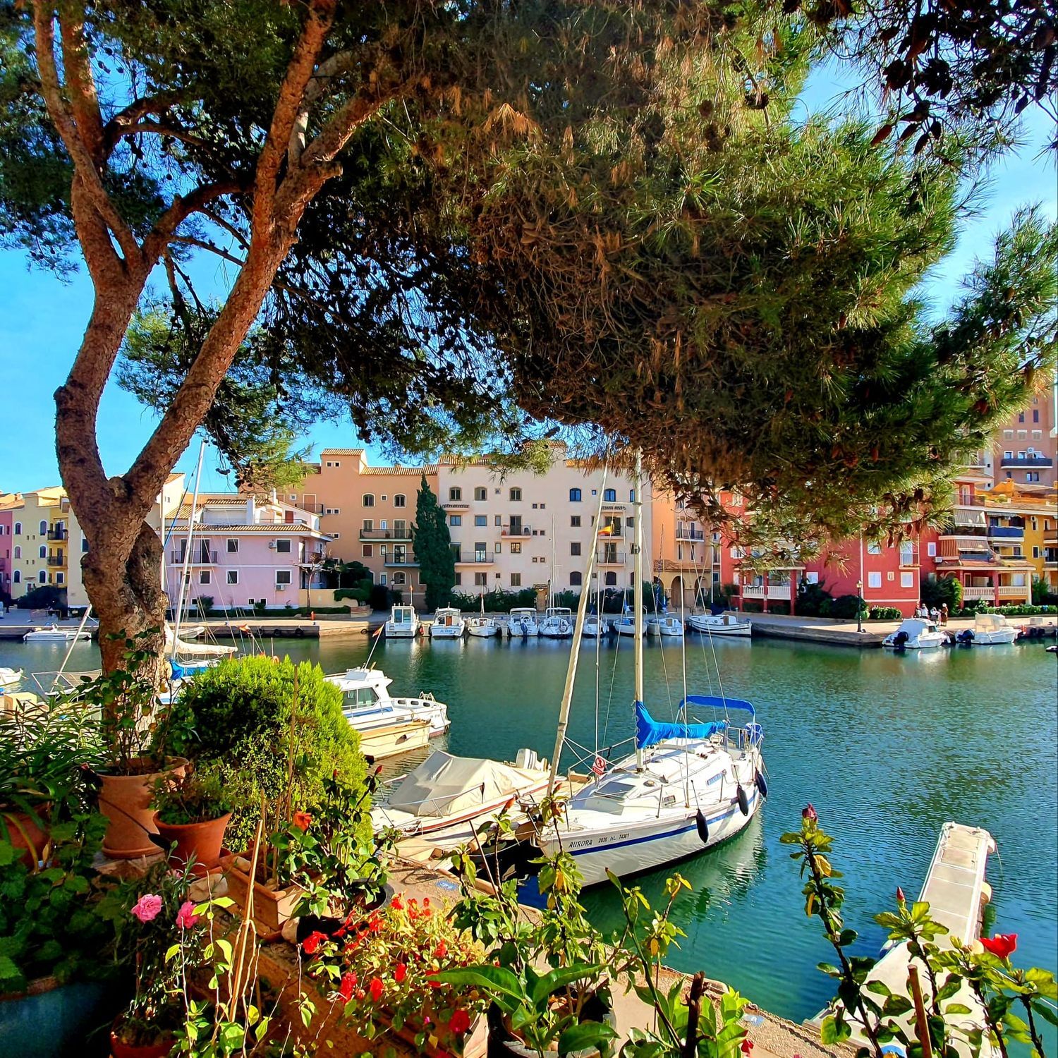 Piso en Union, 1, Port Saplaya, Port Saplaya - Foto 31