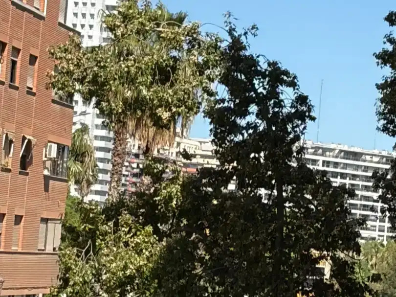 Piso en  Carrer de l'Alcalde Reig 9 - Foto 44