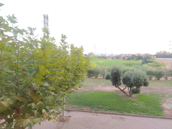 Piso en Urbanización Los Pinos, 7 sn - Foto 9