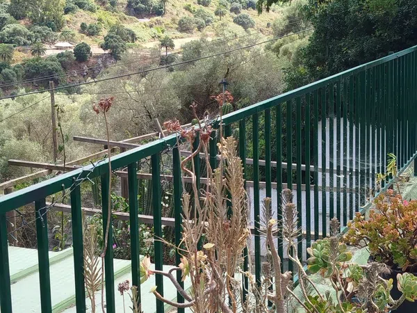 Casa o chalet independiente en Carretera el Tejar, 1, La Angostura - Los Olivos, La Angostura - Los Olivos - Foto 1
