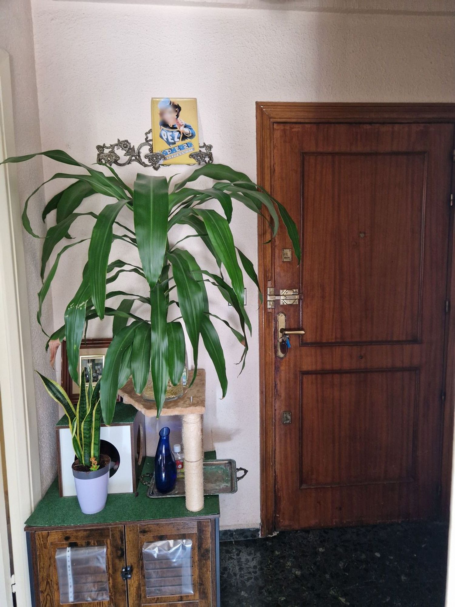 Piso en Calle del Corazón de María, 33, Prosperidad - Foto 10