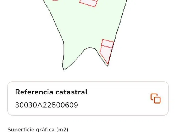 Finca rústica en Carril los González y los Pérez, 40, Cañadas de San Pedro - Foto 33