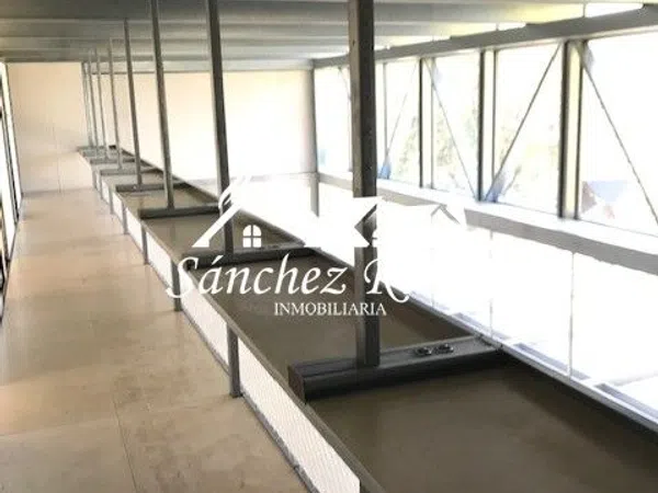 Casa o chalet independiente en Calle Monte s/n - Foto 35