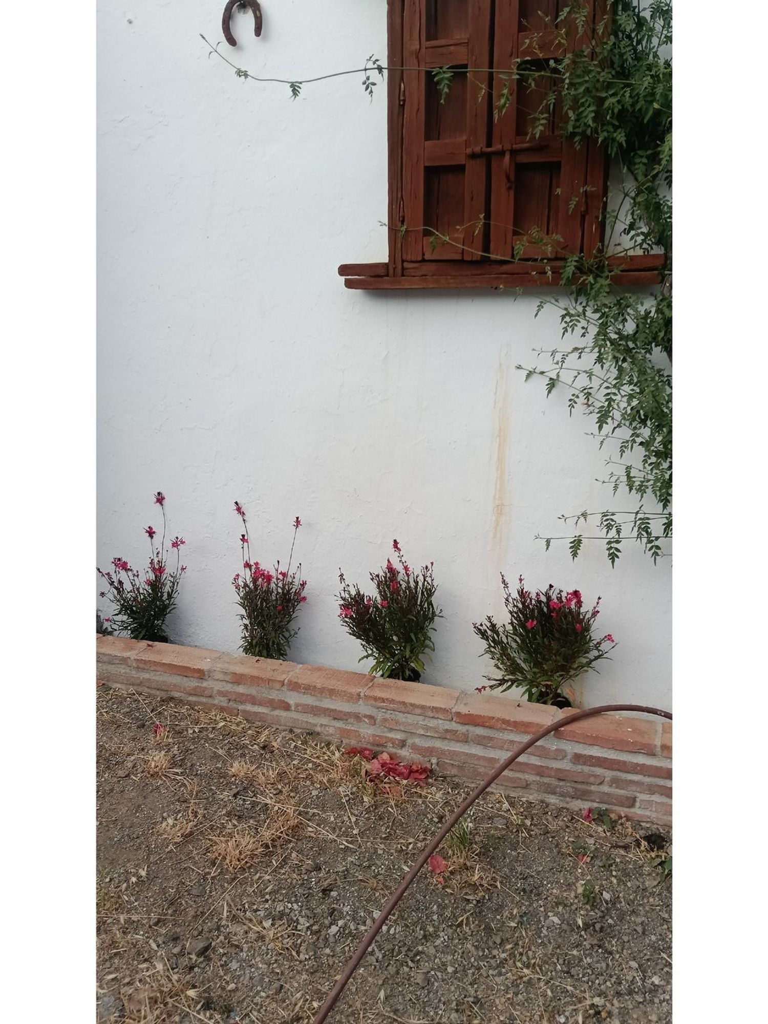 Casa rural en Camino de las Lomas de Villanueva s/n - Foto 38