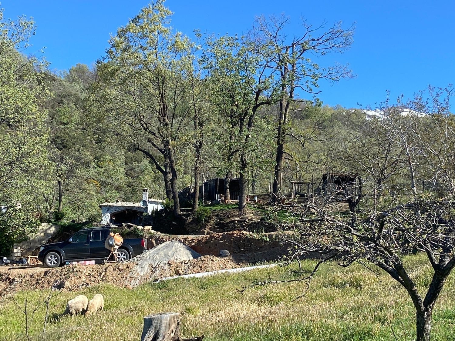 Cortijo en Cerro man, 23 - Foto 6