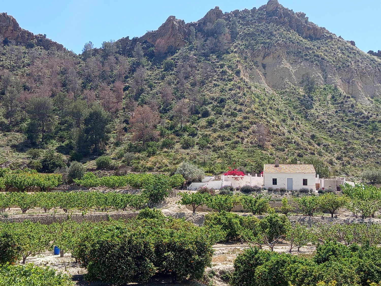 Casa rural en B-10 s/n - Foto 3