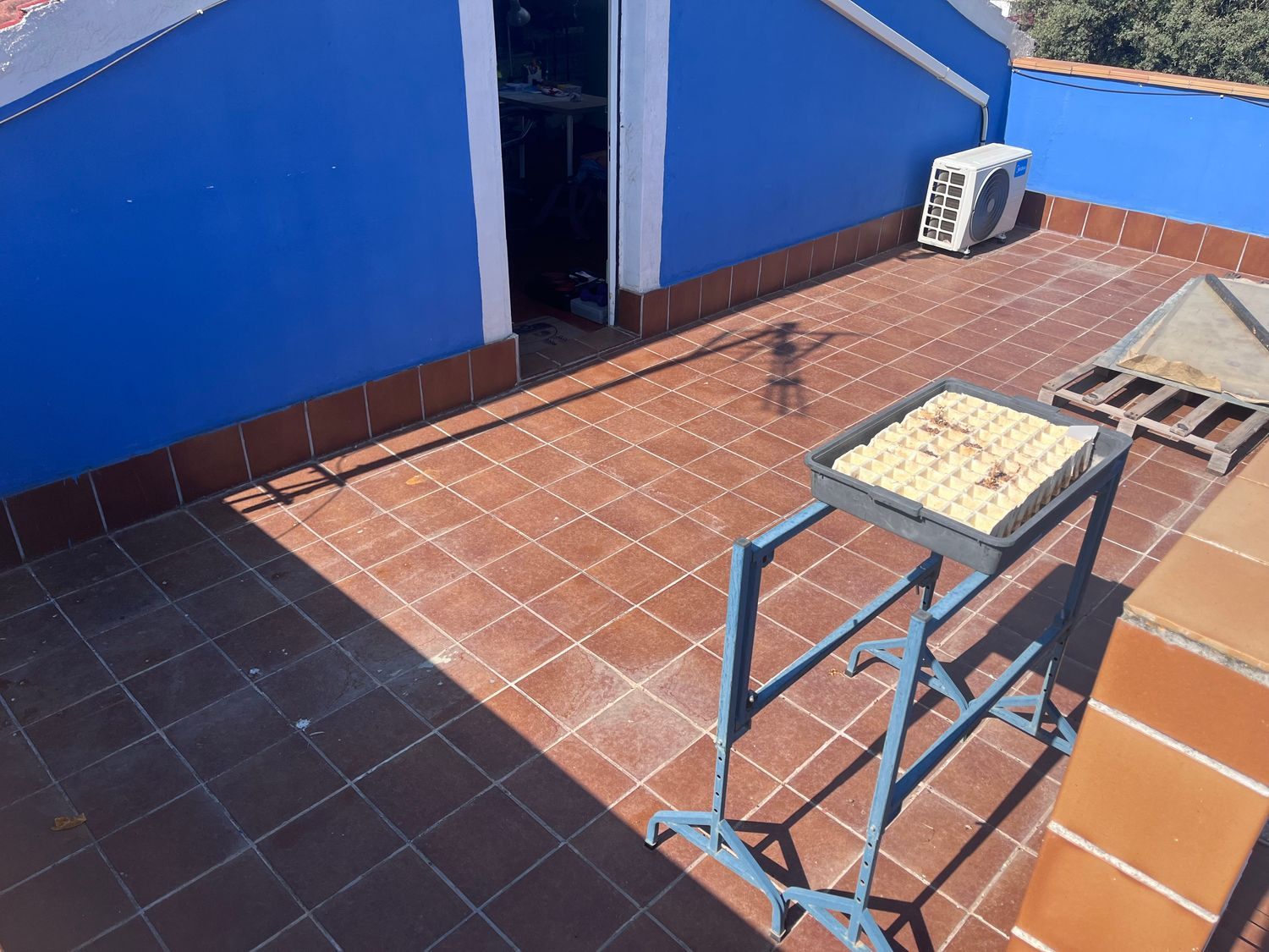 Finca rústica en Carril Toledano s/n, La Dehesa - El Pinar, La Dehesa - El Pinar - Foto 8