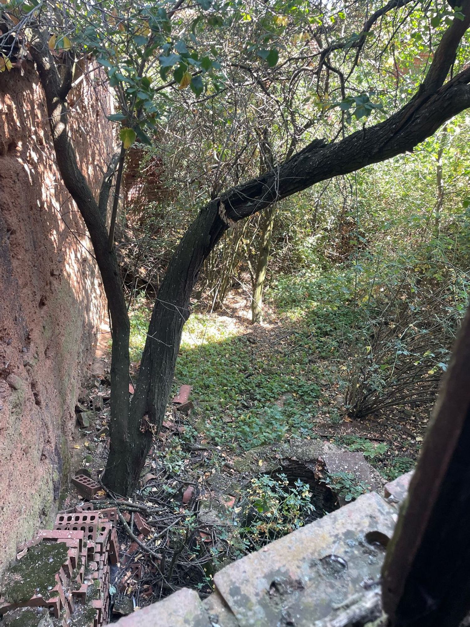 Casa de pueblo en Camino Villadangos, 24 - Foto 40