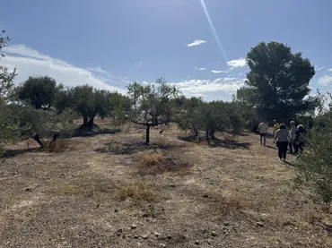 Finca rústica en  Prolongación Cañada del Tovar 34 - Foto 8