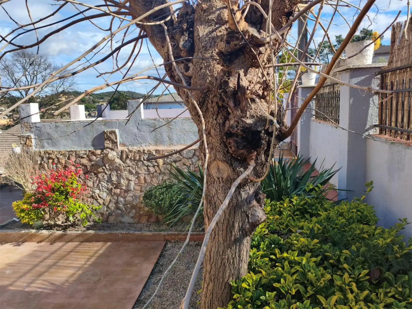 Chalet en  Carrer Cadernera 99 - Foto 48