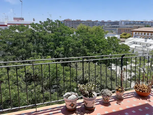 Piso en Barrio Reina Mercedes - Heliópolis