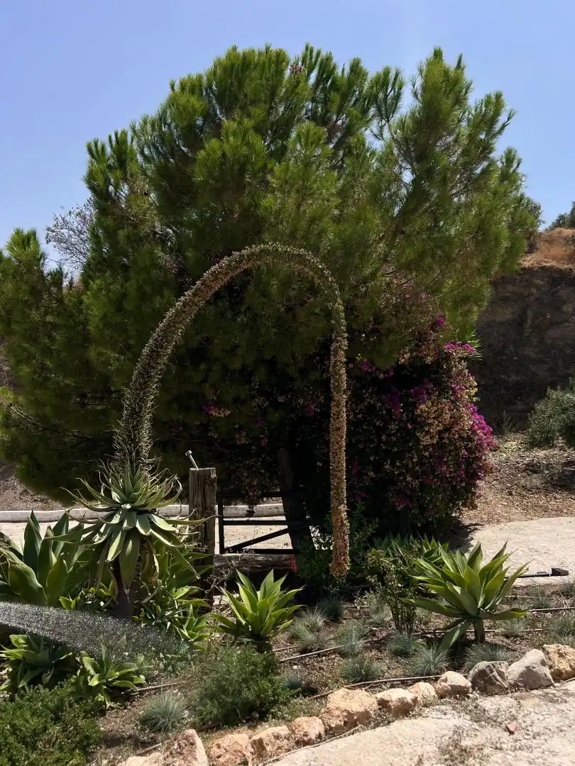 Finca rústica en  Avenida Andalucía 19 - Foto 19