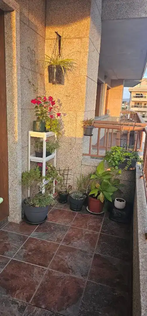Apartamento en  PO-550 34 - Foto 5