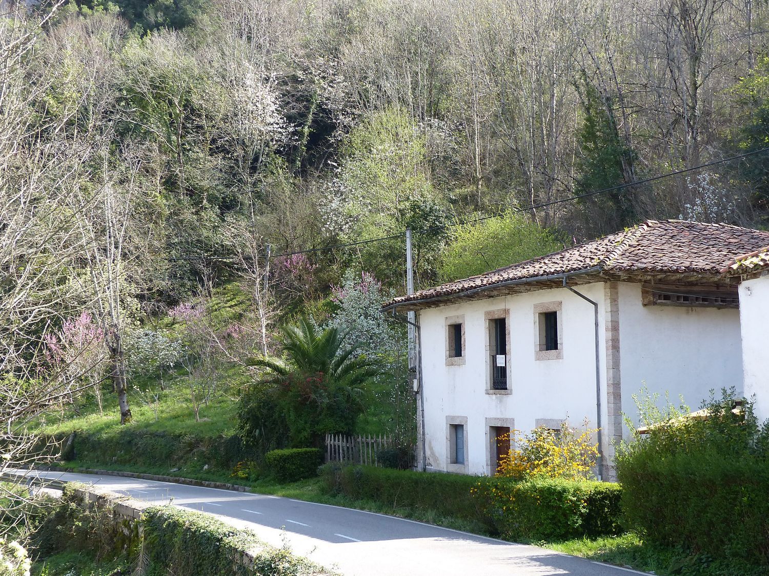 Casa de pueblo en Lugar Vega Pervis, 101 - Foto 5