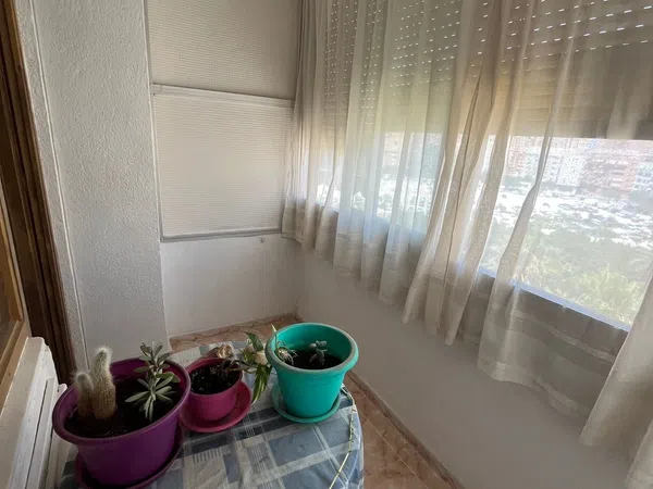 Piso en Calle Huesca, 8, Plà del Bon Repòs-La Goteta - Foto 5