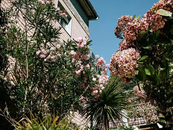 Casa o chalet independiente en Avenida das Camelias, 27, O Castro - Foto 28