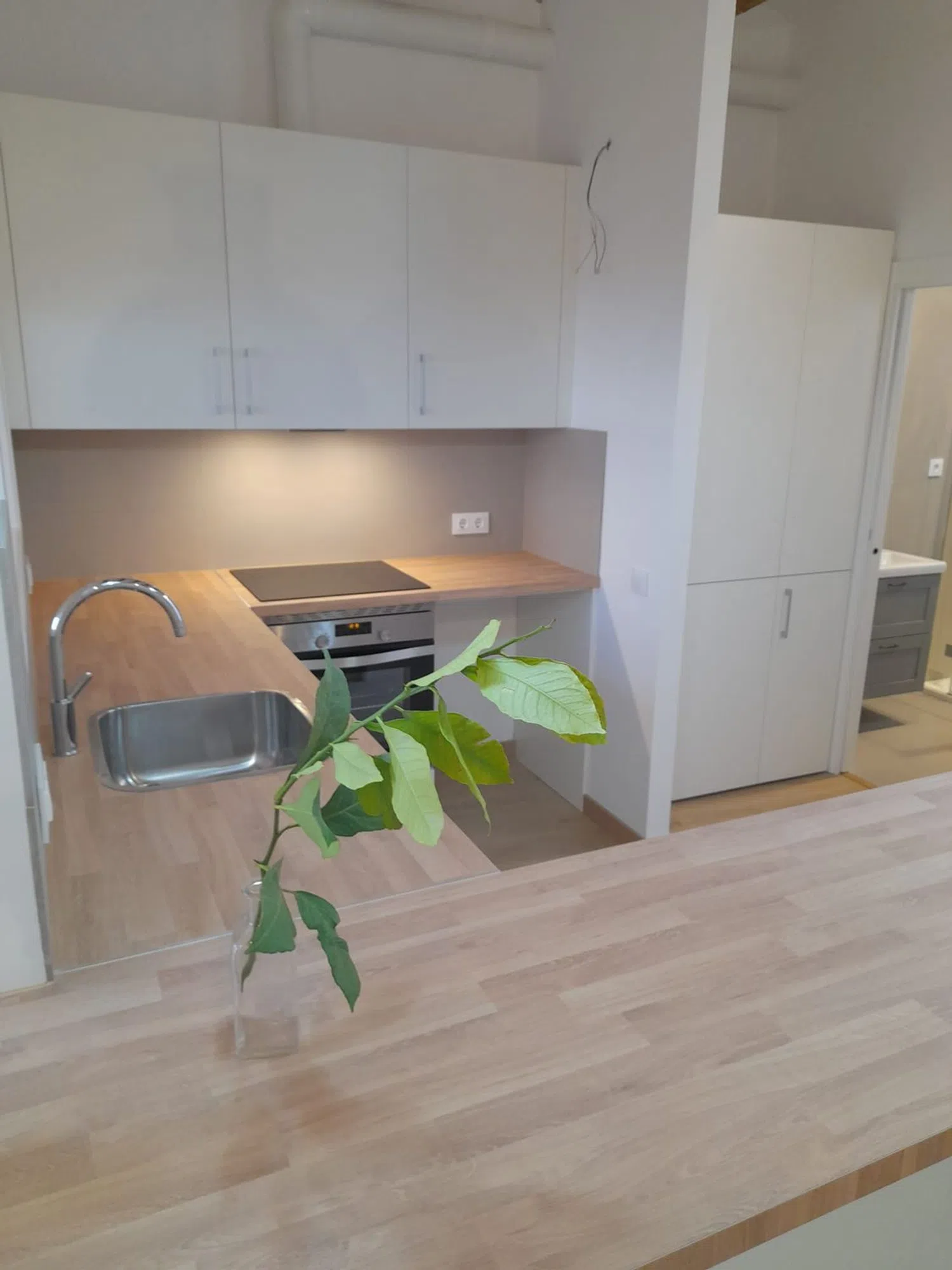 Estudio en calle de Viladomat, 146 - Foto 9